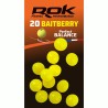 BAITBERRY ÉQUILIBRÉ 