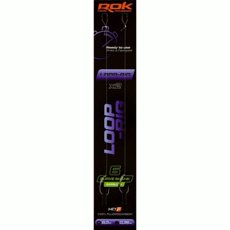 LOOP-RIG CSB taille6 - 2X PACK / LOT DE 2X MONTAGES LOOP-RIG CURVE SHANK BA 