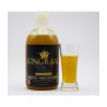 HUILE CHENEVIS / HEMPSEED OIL 500ML KINGRAAL