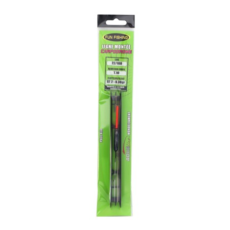 LIGNE MONTEE ST2 - 0,30GR - HAM T10 - 22/100 - 4M 