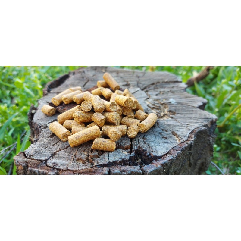 PELLET CSL 1KG DUDI BAIT