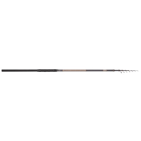 CANNE TACTICAL LAKE TROUT 3.30M 5-40G TROUT MASTER