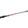 CANNE TACTICAL LAKE TROUT 3.30M 5-40G TROUT MASTER