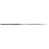 CANNE TACTICAL LAKE TROUT 3.90M 4-40G TROUT MASTER