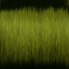 MONO X PREDATOR GREEN 0.28MM/6.5KG 400M C-TEC COARSE