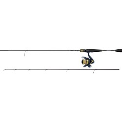 ENSEMBLE SPINNING RS 2.13M...