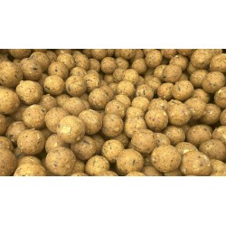 Bouillettes Ail Foie 18 mm – Seau 5 kg – Zigapêche
