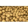 Bouillettes Ail Foie 18 mm – Seau 5 kg – Zigapêche