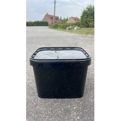 Bouillettes Ail Foie 18 mm – Seau 5 kg – Zigapêche