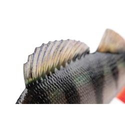 FOX RAGE ULTRA-REALISTIC PERCH REPLICANT 10CM - 22G/_8