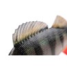 FOX RAGE ULTRA-REALISTIC PERCH REPLICANT 10CM - 22G/_8