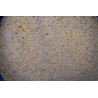 AMORCE BRÈME 1KG ZIGAPECHE