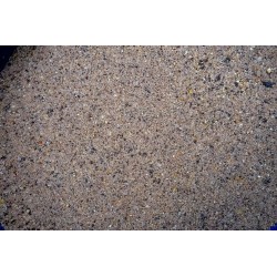 AMORCE CANAL 1KG ZIGAPECHE