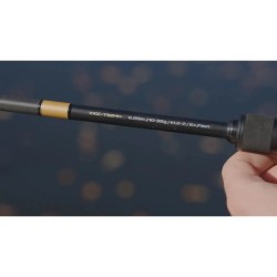 CANNE CASTING X1 GOLD 10-35G 2.20M FAVORITE